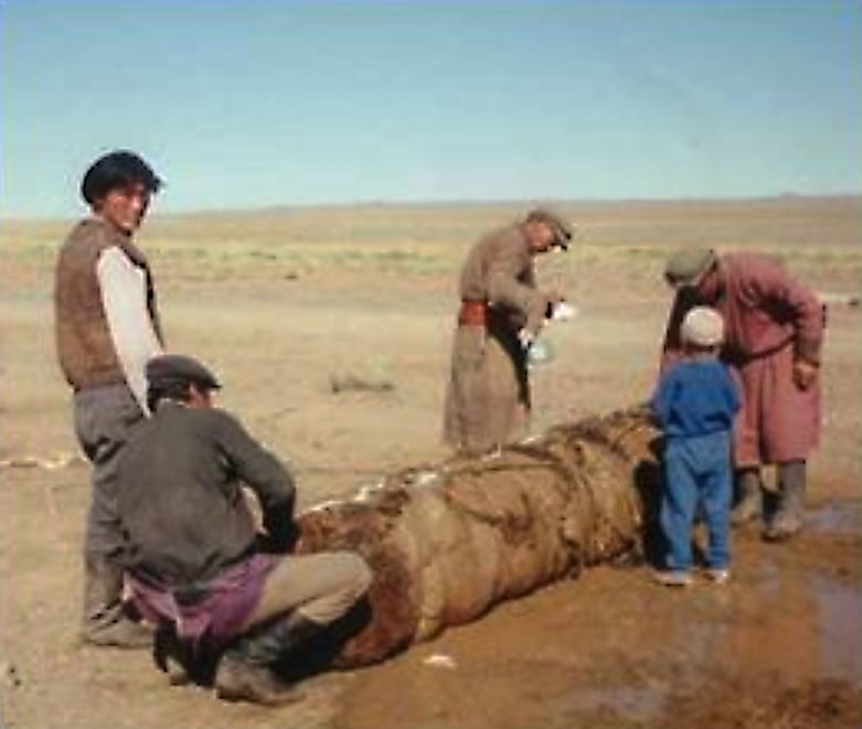Rolling felt in Mongolia