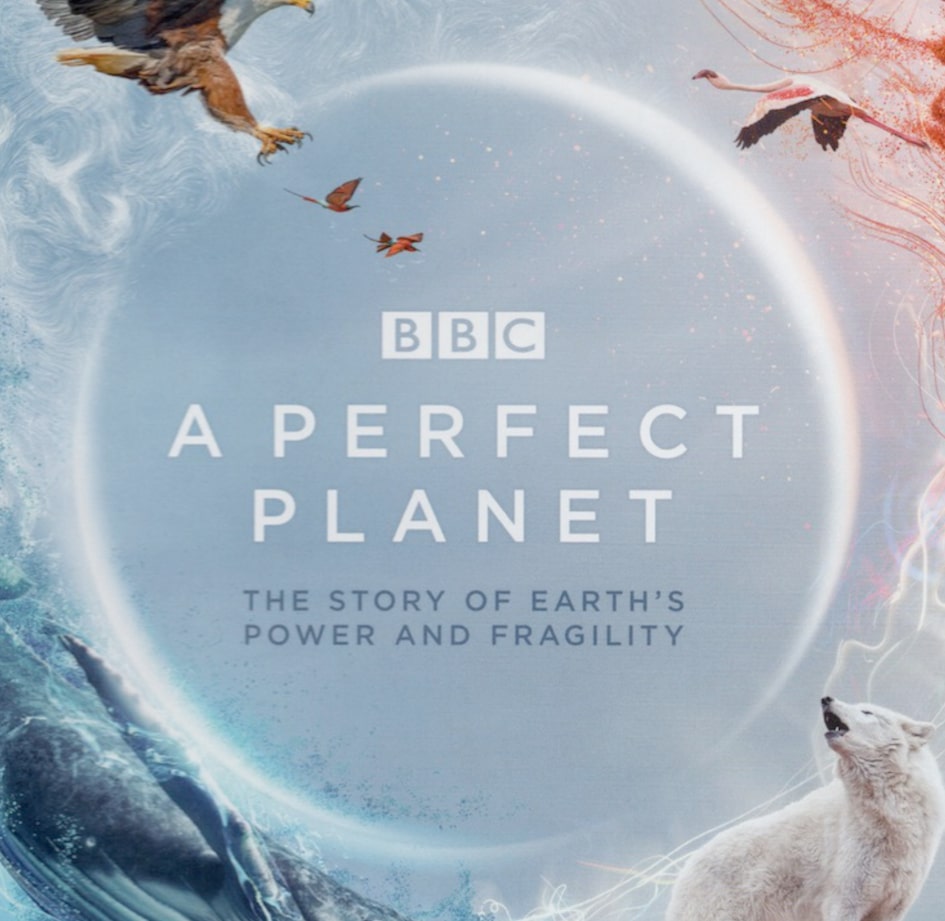 A Perfect Planet cd